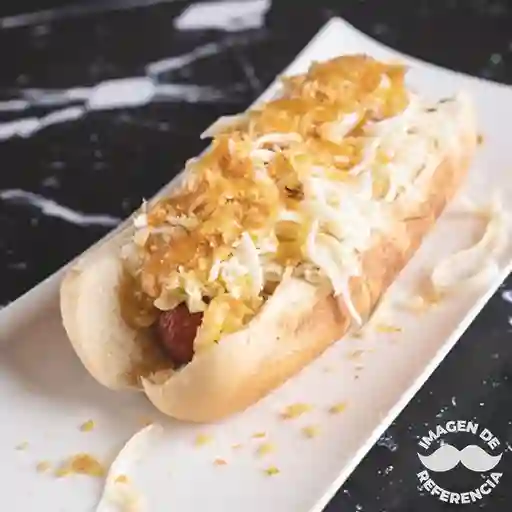 Perro Especial de la Casa