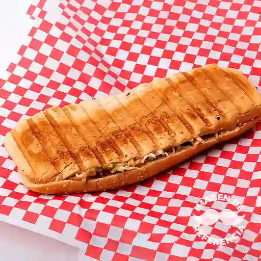 Perro arabe especial