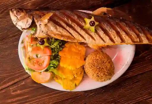 Bocachico Frito