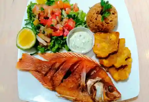 Tilapia Frita