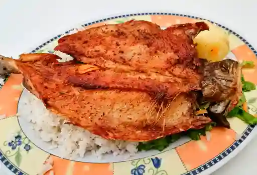 Trucha al Ajillo con Camarones