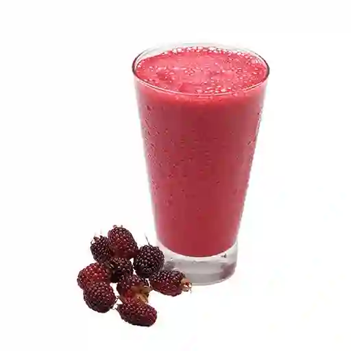 Jugo Natural en Agua de Mora 16 Oz