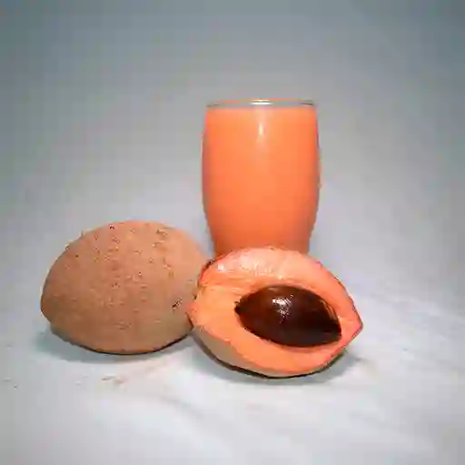 Jugo de Zapote 16 Oz