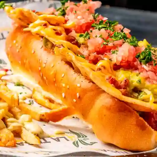 Perro Mixto