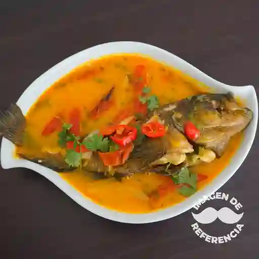 Róbalo