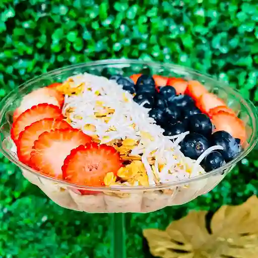 Avena Proteica
