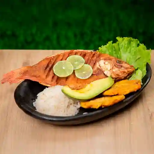 Mojarra Frita