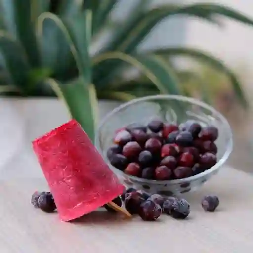 Paleta Corozo