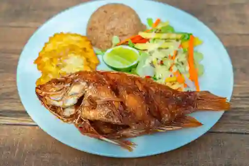 Pesca Del Dia