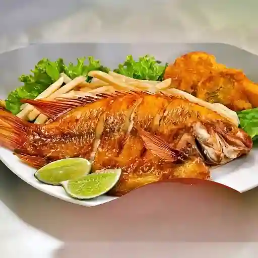 Tilapia Frita
