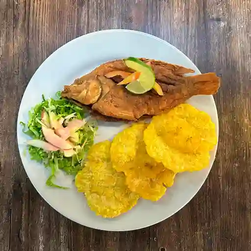 Porción de Proteína