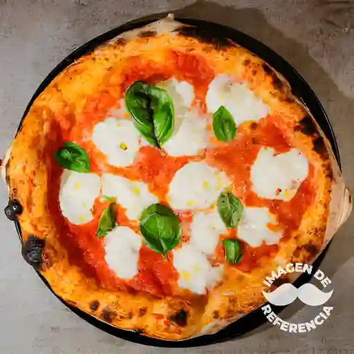 Pizza Margherita