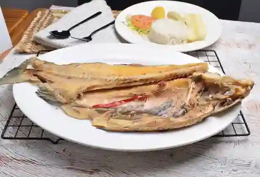 Bocachico en Viuda