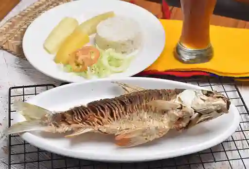 Bocachico Frito