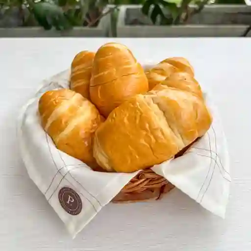 Cascarita X6 Und