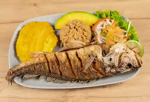 Corvina Frita