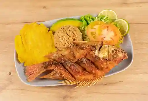 Tilapia Frita