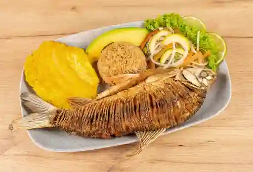 Bocachico Frito