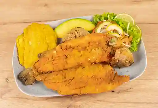 Trucha Apanada