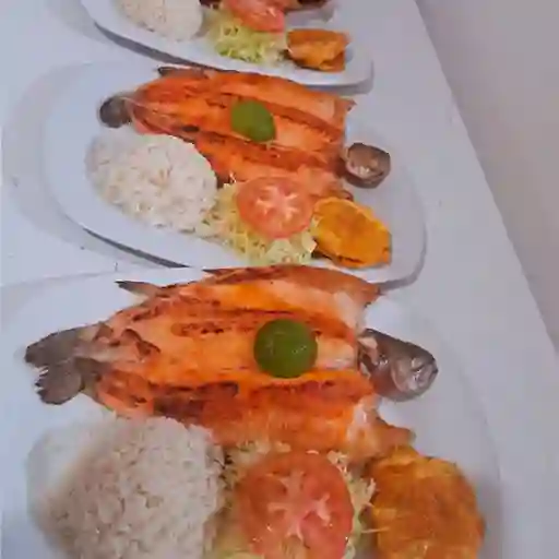 Bagre Basa Frito