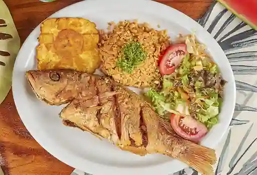 Pargo Rojo
