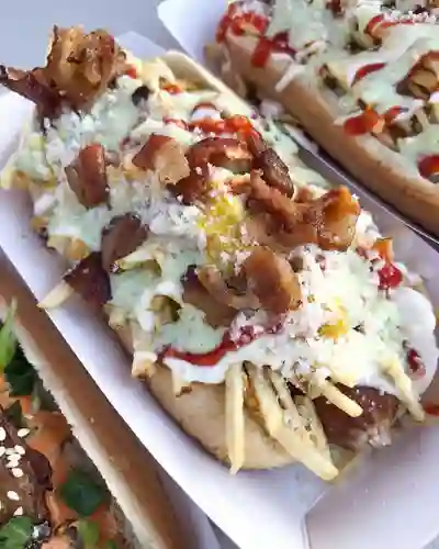 Perro Criollo