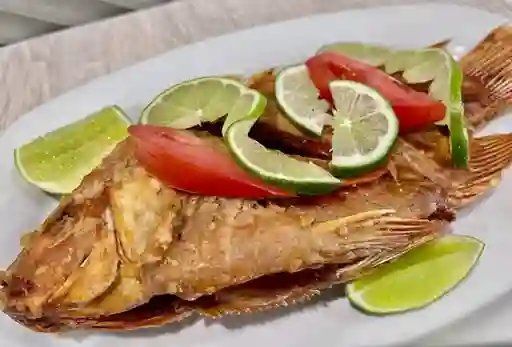 Tilapia Frita