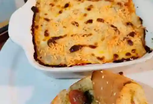 Bolognia