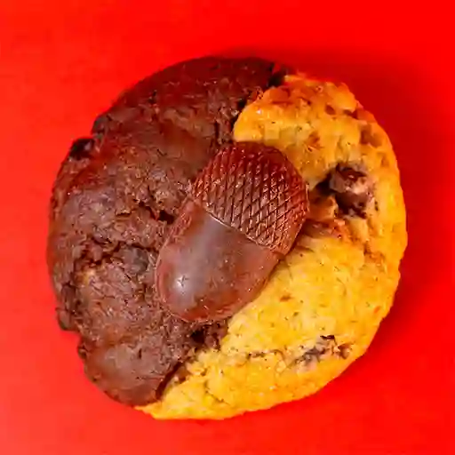 Nucita