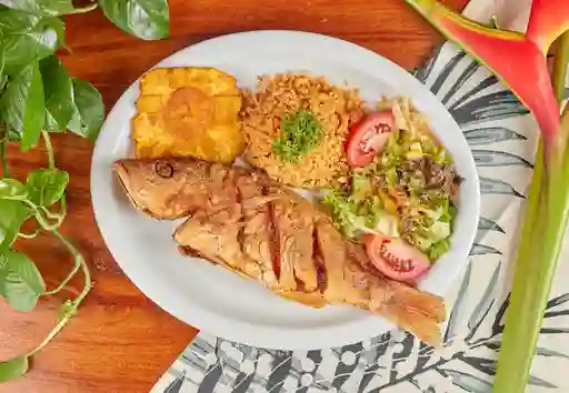 Pargo