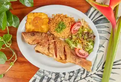 Pargo Rojo