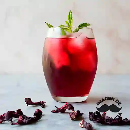 Agua de Jamaica 14 Oz