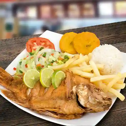 Mojarra