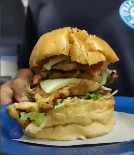 Pollo