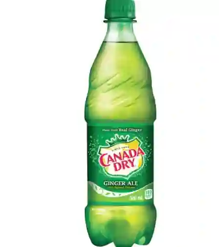 Canada Dry Ginger Ale 500 ml