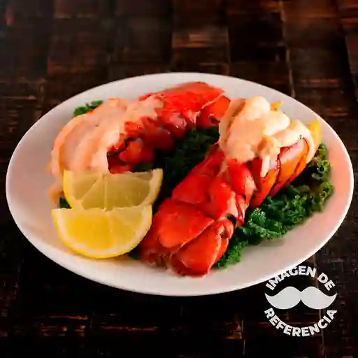 Bandeja Viña Del Mar