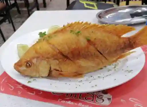 Mojarra