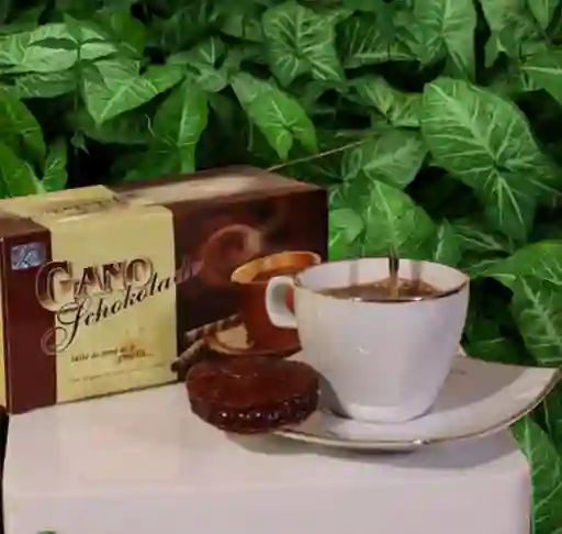 Chocolate 10 Oz