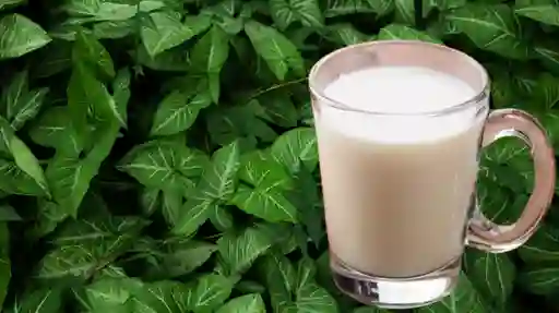 Leche de Almendras 10 Oz