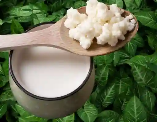 Kefir 10 Oz