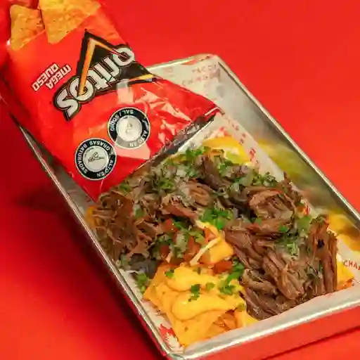 Dorilocos de Pastor