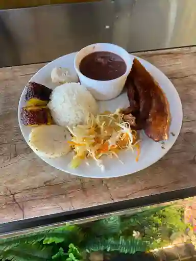 Bandeja Del Día