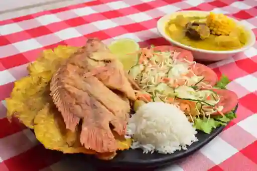 Tilapia Frita