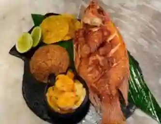 Mojarra Roja Frita