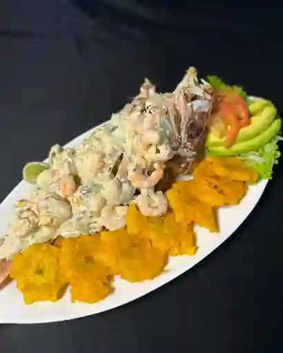 Pargo Camaron