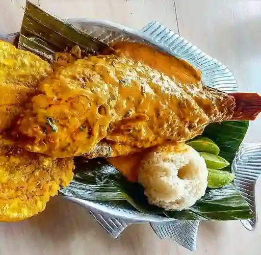Pargo Encocado