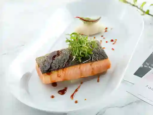 Salmon Selvatico