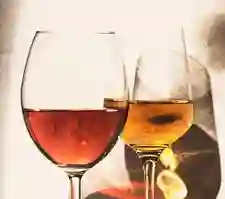Tinto Norton Collection Malbec Copa