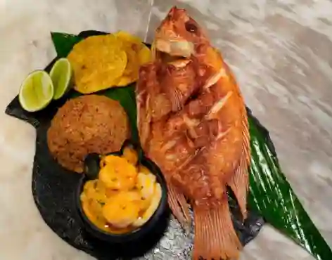 Tilapia Roja