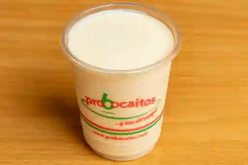 Avena